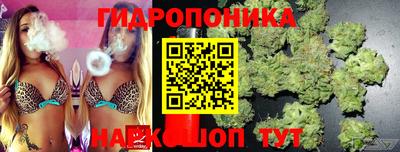 молекула духа Лесосибирск