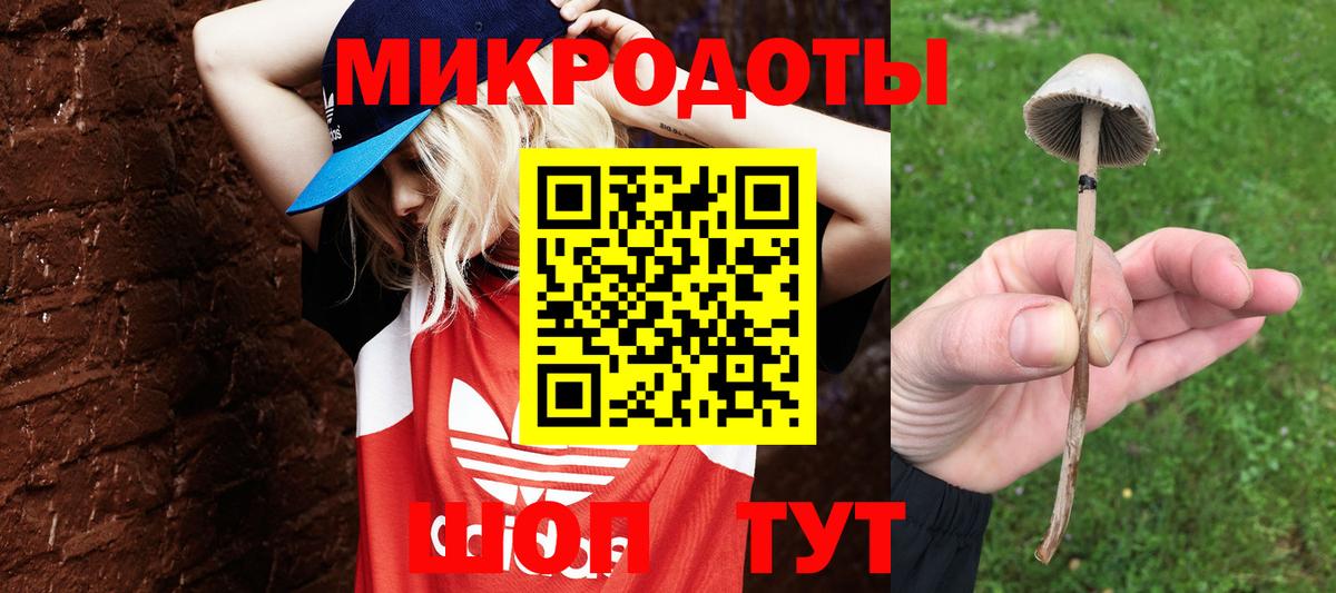 Южно-Сахалинск  Псилоцибиновые грибы Magic Shrooms  Вход с VPN 